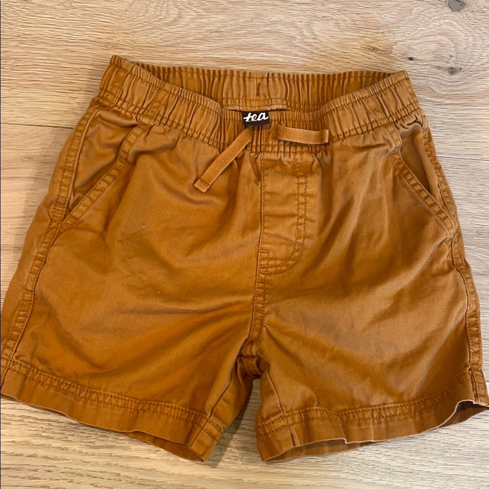 Tea Shorts Boys Size 8